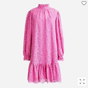 J Crew Ruffleneck Lace Dress in Soft Azalea NWT Size Small